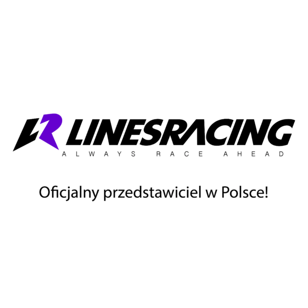 LINESRACING BMW Z4 E89 Zawieszenie gwintowane - obrazek 9