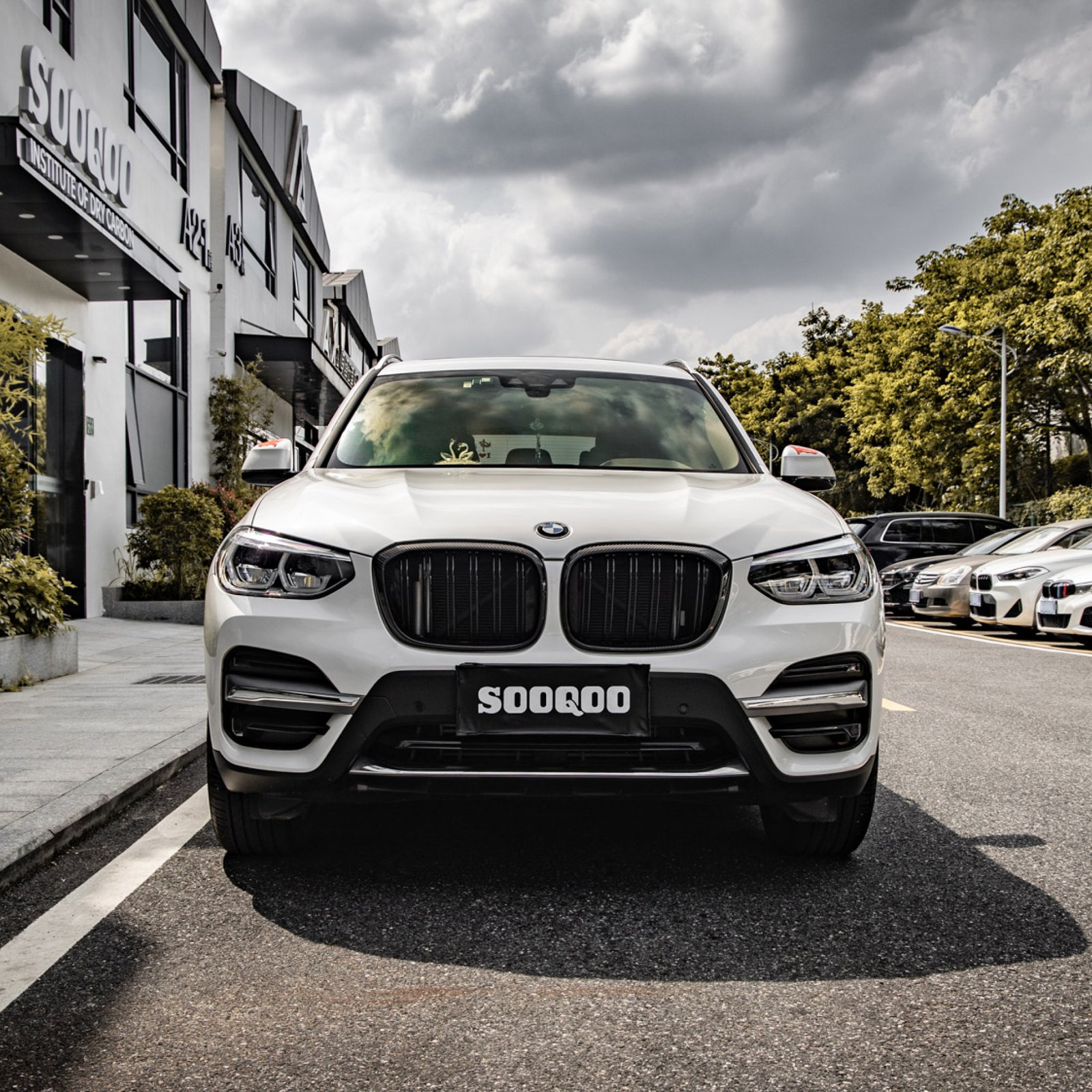 Karbonowy Grill BMW X3 G01 / X4 G02 / iX3 G08 Przedlift M-Performance Styl - obrazek 2